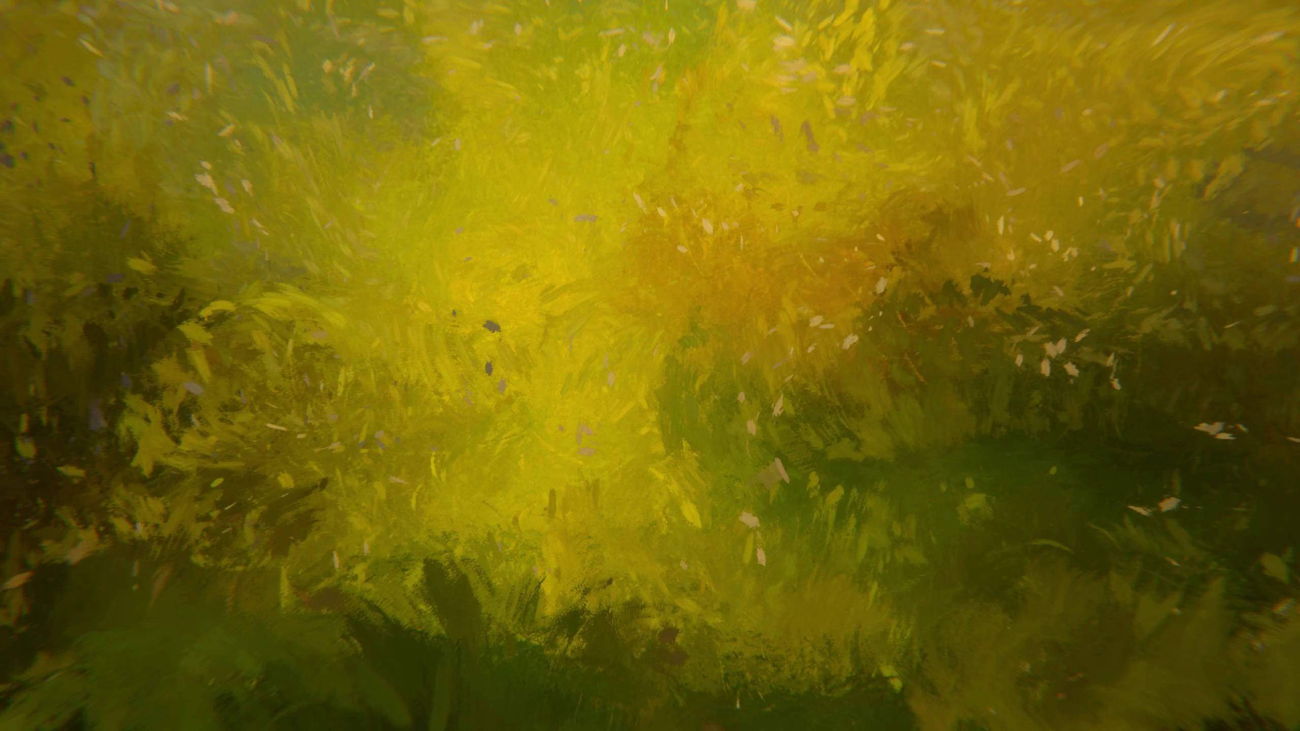 Memory of Turner No.3